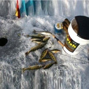 Ловля окуня зимой на блесну видео подводная съёмка