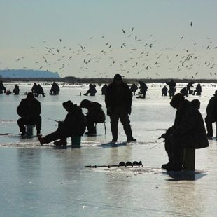 Основные правила комфортной зимней рыбалки